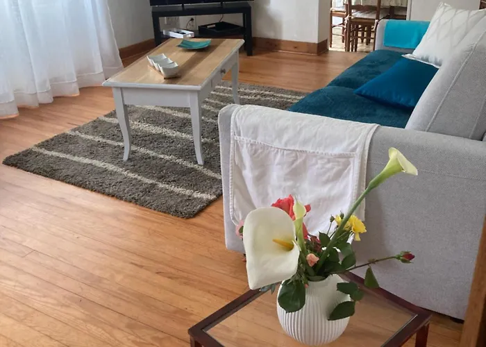 Maison à Lourdes, Avec Jardin *