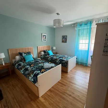 Maison A Lourdes, Avec Jardin *